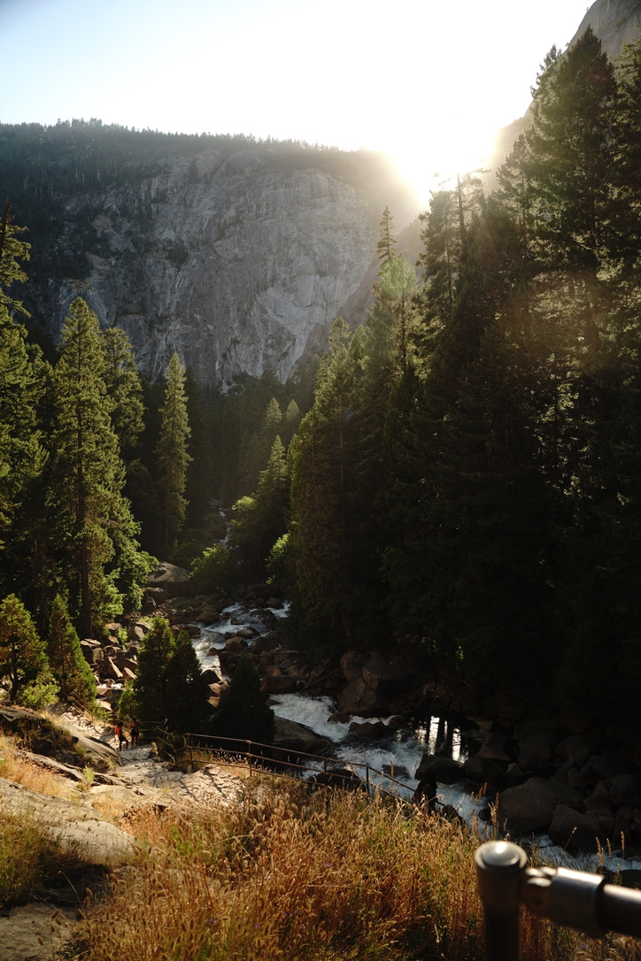 Sun breaking through pines above the Merced river below Vernal Fall, Yosemite